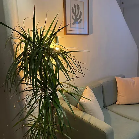Charmante Maison 3ch Lille